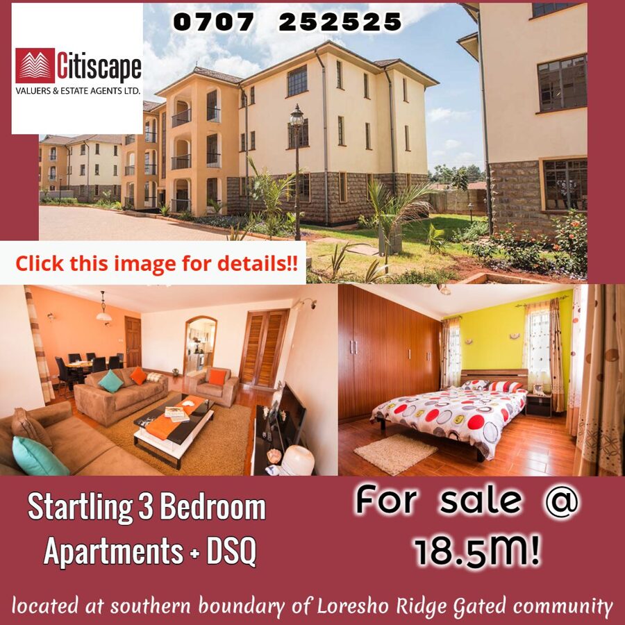 3 Bedroom Apartment